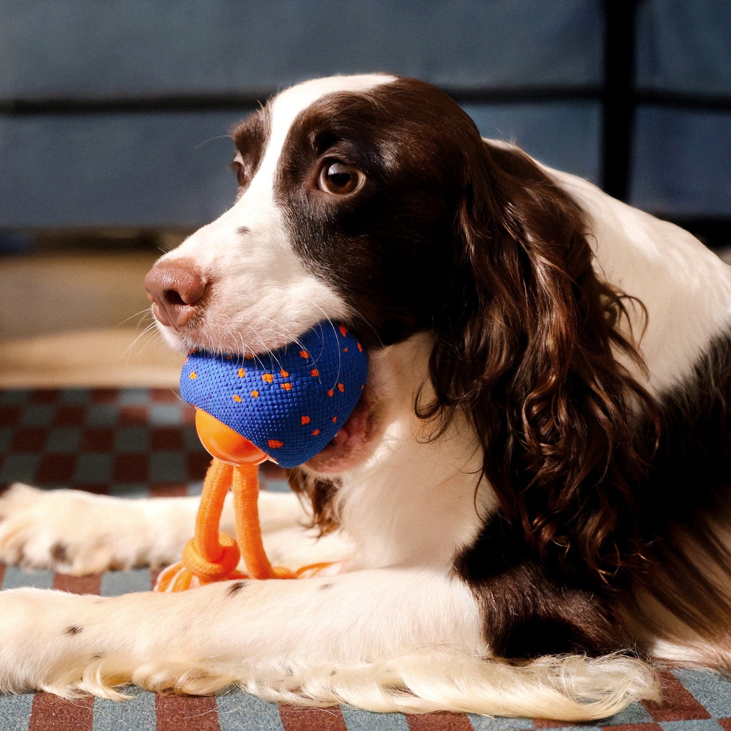 🔥2026 New Release - 50% OFF - RolloPaw™ Interactive Pet Toy Ball: Automatic Self-Moving Dog Toy for Boredom & Mental Stimulation 🐾 Quiet & Gentle on Teeth ✨
